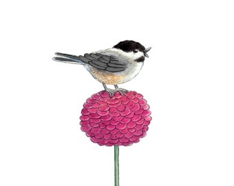 Sing For Me, Chickadee - Bird on Round Dahlia - Art Print