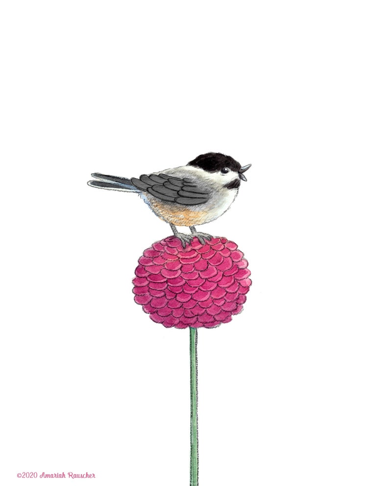 Sing For Me, Chickadee Bird on Round Dahlia Art Print image 1