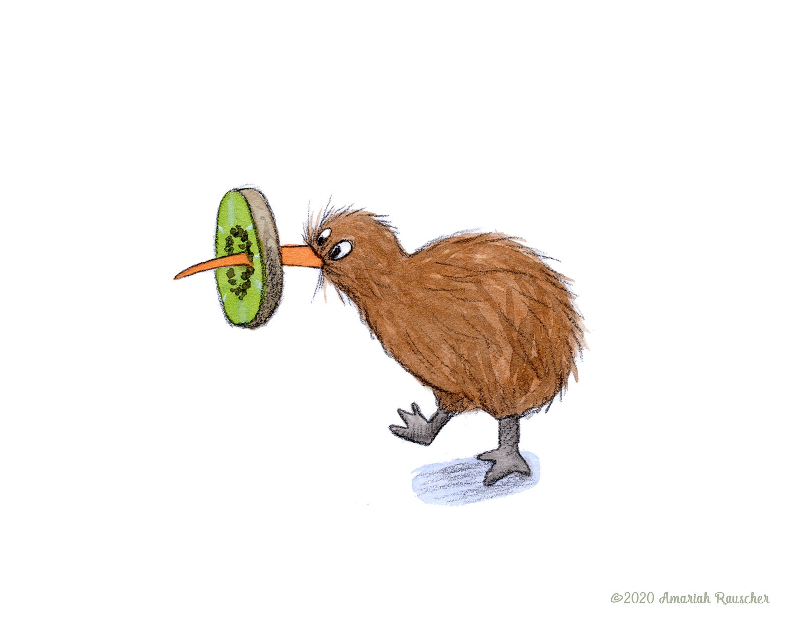 Kiwi Bird Art Print - Etsy Kiwi Bird Art Print - Etsy
