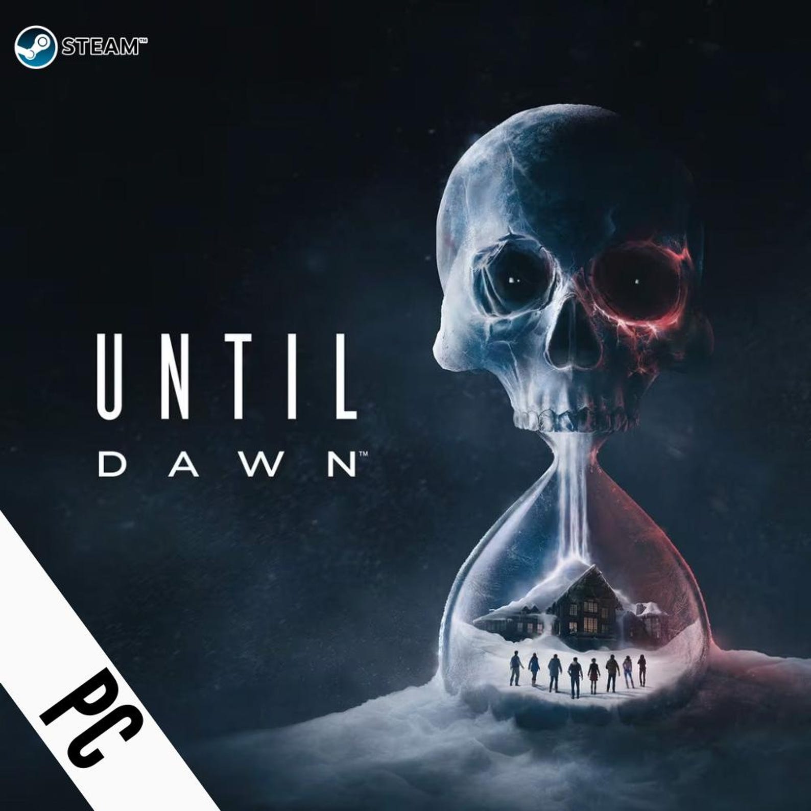Until Dawn PC Steam GLOBAL Fast Delivery Etsy UK