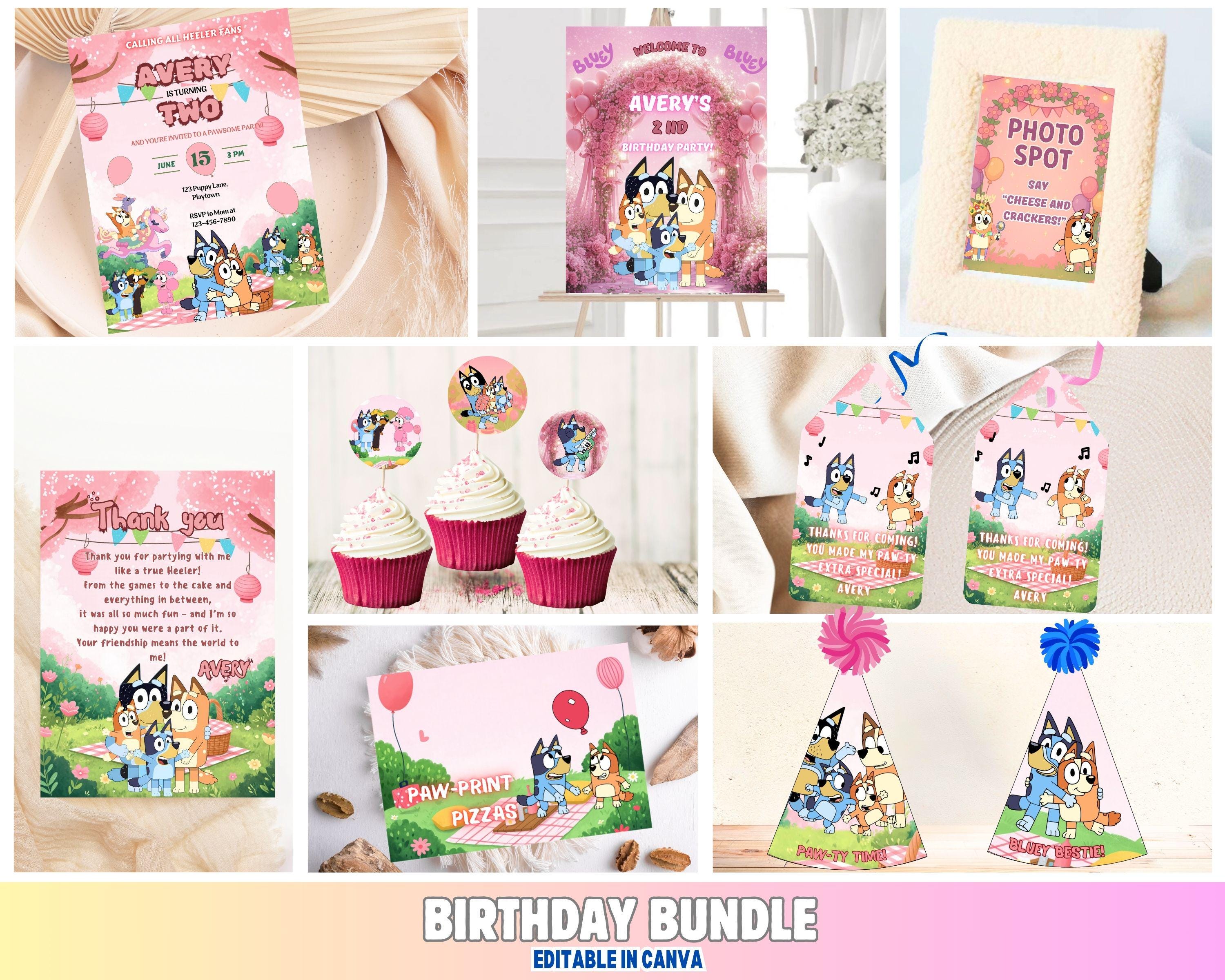 Pink & Pastel Bluey Girl Bundle
