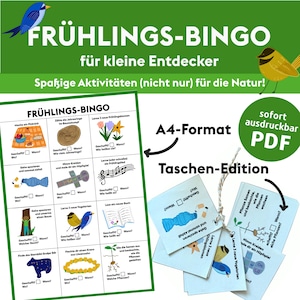 Puede incluir: Un juego de bingo de primavera imprimible para niños. El tablero de juego presenta ilustraciones de actividades relacionadas con la naturaleza, como encontrar un picnic, contar los anillos de los árboles y aprender nuevas canciones de pájaros. El juego está diseñado para que los niños exploren la naturaleza y aprendan sobre la estación.