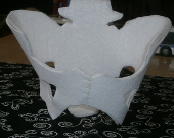 Pelvis Model