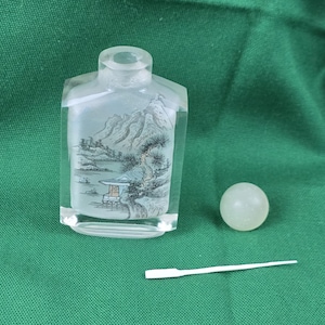 Vintage Snuff Bottle Reverse Painting Chinese with Bone Spoon - Hand Carved