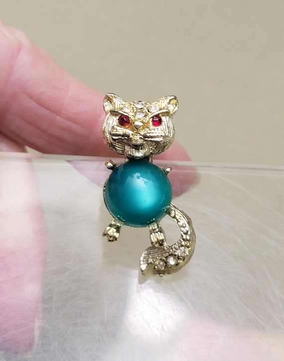 Jelly belly cat discount