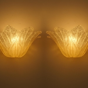 May include: Two wall sconces shaped like stylized, open flower blossoms. The sconces are made of a translucent, textured material, and emit a warm, golden light. The floral design adds a touch of elegance to any space.