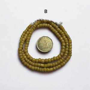 Pu&ograve; includere: Un filo di perline verde oliva, arrotolato su una superficie bianca. Una moneta da un dollaro canadese &egrave; al centro. Le perline sono piccole e quadrate. La lettera "B" &egrave; visibile in alto.