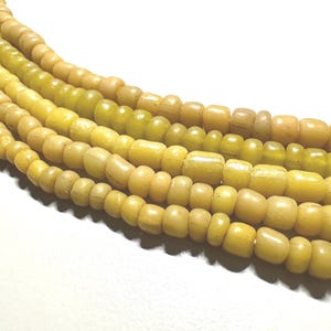 May include: Strands of yellow-toned beads with a slightly irregular, rounded shape. The beads vary in shade from pale yellow to a deeper, more golden hue. The beads are strung together, creating a textured and visually appealing pattern.
