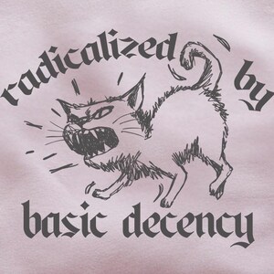 Könnte beinhalten: Hellrosa Sweatshirt mit dem Schriftzug "radicalized by basic decency" und einer Grafik einer wütenden Katze. Das langärmlige Rundhals-Shirt ist auf einer neutralen Oberfläche gefaltet.