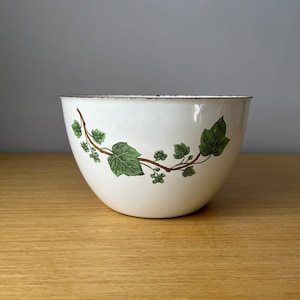 May include: White enamel bowl with a green ivy design. The bowl is round and has a slightly flared rim.