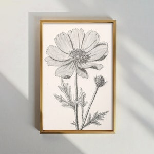 Chic Vintage Floral Print | Classic Black & White Wall Art | Floral Sketch | Home Decor
