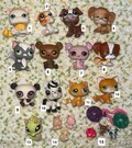Littlest Pet Shop LPS Figures – Vintage Toy Lot, Rare Pets, teensie, Custom bases, games, Cat Dog Kitten Bunny Bird Horse – Collector Gift