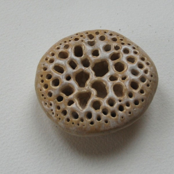 Porcelain spore in milk and honey (small)