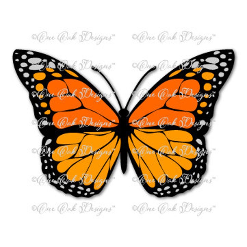 Free Free Monarch Butterfly Svg File 838 SVG PNG EPS DXF File