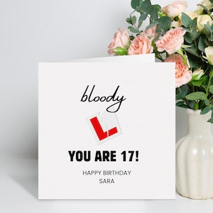 17e verjaardagskaart jongen, zoon 17e verjaardagskaart, 17e verjaardagscadeaus, voor kleinzoon, 17e verjaardagskaart meisje, leerling bestuurder verjaardagskaart