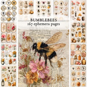 May include: A collection of vintage ephemera pages with bumblebees, floral designs, and botanical illustrations. The text reads "BUMBLEBEES 167 ephemera pages". The colour scheme includes beige, brown, yellow, pink, and green.