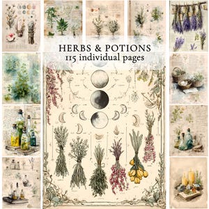 Può includere: Un collage di illustrazioni botaniche e opere d'arte in stile vintage. L'immagine centrale presenta le fasi lunari e mazzi di erbe. Il testo "HERBS & POTIONS" e "115 individual pages" è visualizzato. Altre immagini includono bottiglie, piante e cristalli.