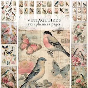 Vintage Birds Junk Journal Pages, Musical Songbird Ephemera, Antique Butterfly Digital Paper, Scrapbook Kit