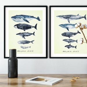 Whales of the Sea Coastal Wall Art, Set of 2 - 11x14 Watercolor Prints, Whale Wall Art, Humpback, Beluga, Blue, Sperm Whale Wall Decor.