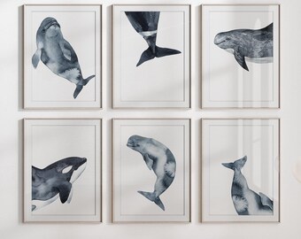 Whale Wall Art Prints, Watercolor Beluga, Killer, Blue Whales, Set of 6 - 8x10, Whale wall decor for Nursery, Beach House, Nautical Decor.
