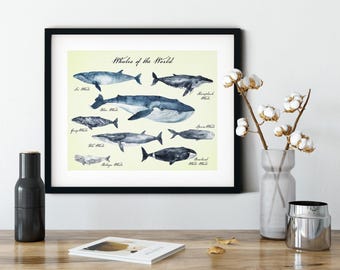 Whales of the World Coastal Wall Art, 11x14 Watercolor Print, Whale Wall Decor, Humpback, Beluga, Blue, Sperm & Gray Whale Wall Art.