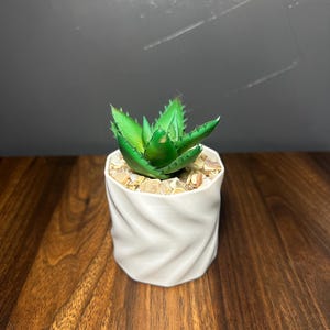 Pure Form Minimalist Wavy 3D Printed Planter: Modern Succulent Pot with Drainage