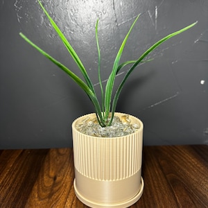 Peut inclure: Un pot en céramique beige avec un design côtelé, contenant une petite plante verte aux feuilles longues et fines. Le pot est accompagné d'une soucoupe assortie.