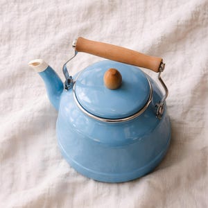 Vintage geëmailleerde waterkoker voor fornuis - waterkoker met bloemen - cadeau voor theeliefhebbers - decor boerderij keuken - housewarming cadeau-cadeau voor moeder