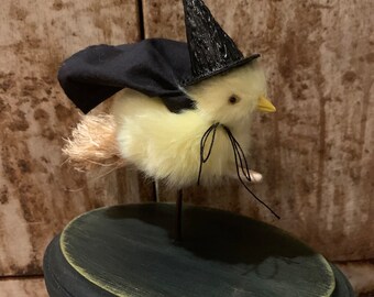 Witch chick faux taxidermy