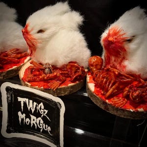 May include: White plush rabbit figures with red blood-like accents and miniature skeletal remains on wooden bases. The sign reads "Twigz Morgue".
