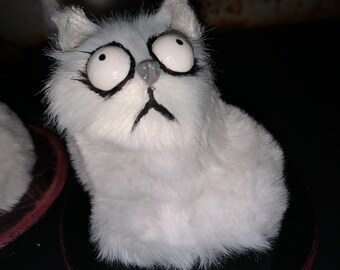 Mr whiskers cat faux taxidermy