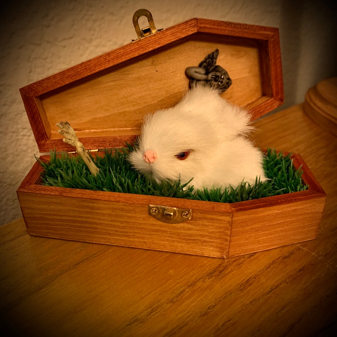 Rabbit in Coffin - Weird Scary Horror Ooak Halloween Sculpted Oddity ...