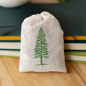 Evergreen Pine Balsam Fir Scented Sachet - 3 Pack