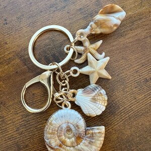 Pode incluir: Chaveiro dourado com uma variedade de pingentes de conchas marinhas, incluindo uma concha de nautilus, uma concha de amêijoa, uma estrela do mar e uma concha de caracol.