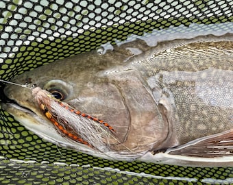 Spey Flies, Dry Flies, Streamers for Fly Fishing. This is a ‘random assortment’ @ 13.99 per fly.