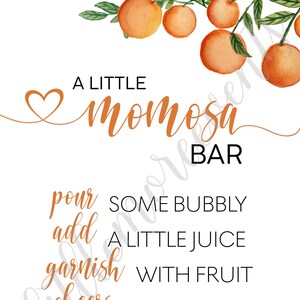 Little Cutie Baby Shower - Sign 8x10 - Momosa Bar