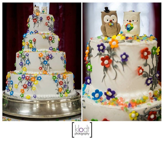 Unique Owls Wedding Cake Toppers Rainbow Bride Groom Love Etsy