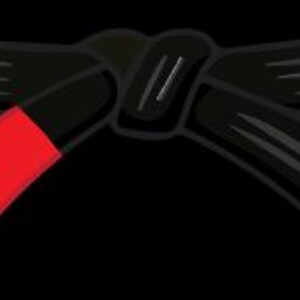 May include: A black martial arts belt with a red stripe on one end. The belt is tied in a knot, and the ends are spread out. The image is set against a black background. This belt is commonly used in various martial arts.