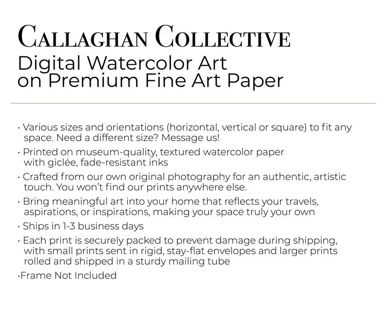 Callaghan Collective Infographic about Digital Watercolor Art on Premium Fine Art Paper.