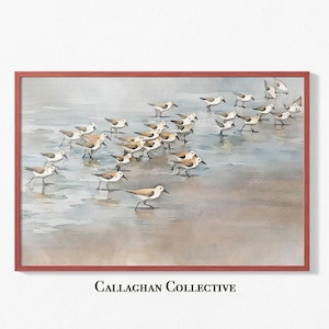 Sanderling Birds Watercolor Painting, Coastal Bird Art, Beachy Wall Decor, Florida Shorebirds, Nautical Nursery, Seagull Artwork
