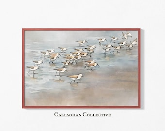 Sanderling Birds Watercolor Painting, Coastal Bird Art, Beachy Wall Decor, Florida Shorebirds, Nautical Nursery, Seagull Artwork
