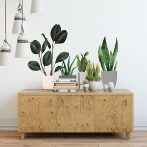 May include: A wooden cabinet with three drawers and a light wood finish. The cabinet is decorated with a variety of potted plants, including a large green plant with large leaves, a cactus, and a snake plant. The plants are arranged on a shelf above the cabinet.