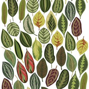 Leaf Wall Decals, Botanical Leaf Wall Stickers, Plant Wall Decals, Fall ...