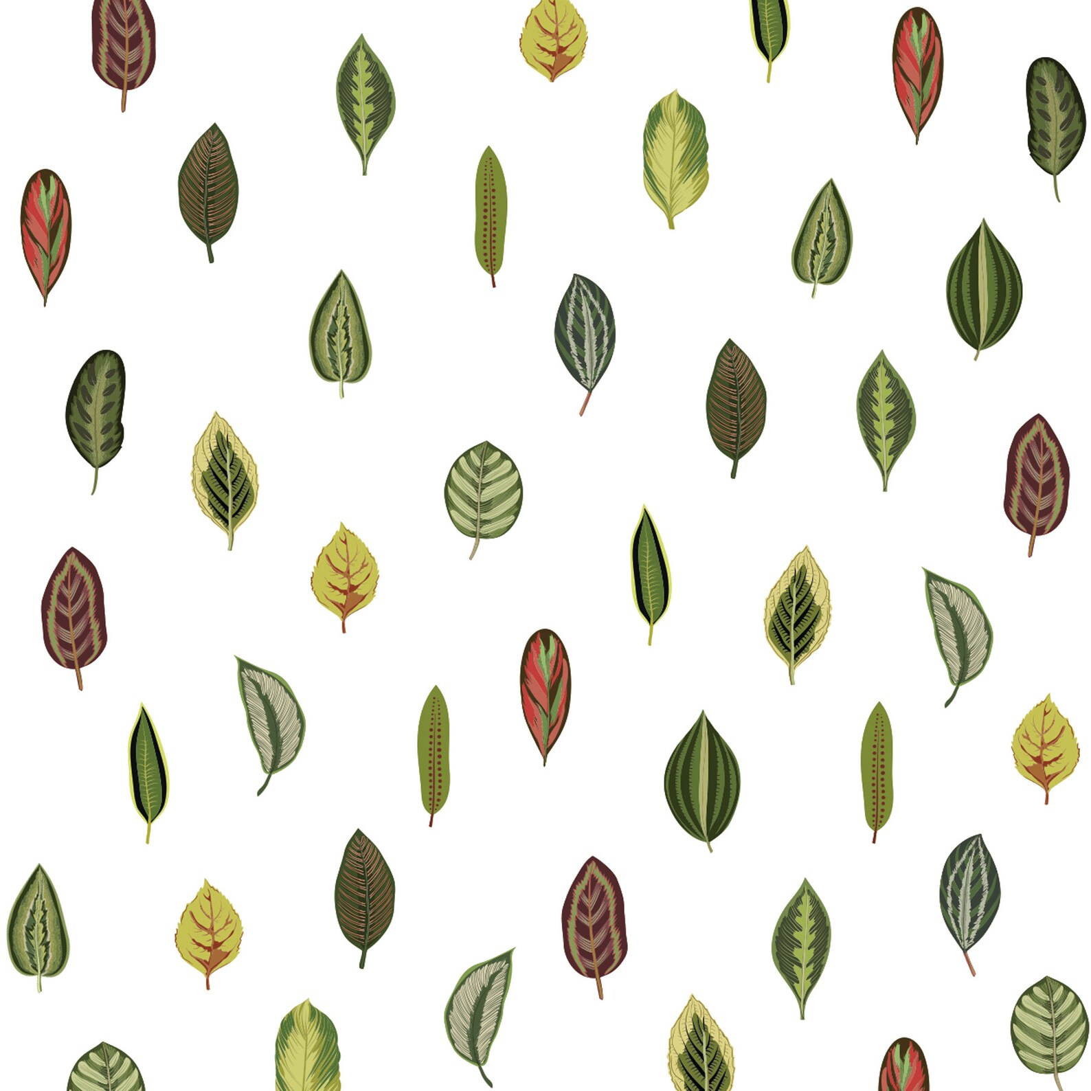 Leaf Wall Decals Botanical Leaf Wall Stickers Plant Wall Etsy