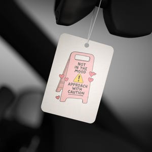 Funny Car Air Freshener: Quirky Decor - New Car, Pine, Black Ice Scents image 7