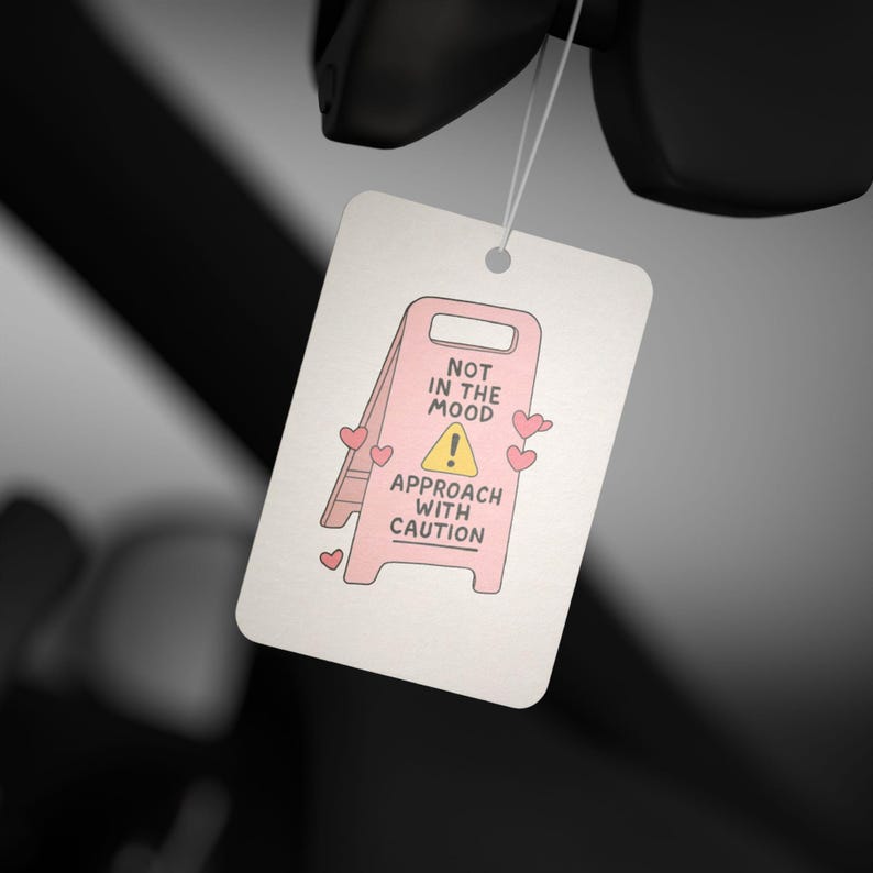 Funny Car Air Freshener: Quirky Decor - New Car, Pine, Black Ice Scents image 7