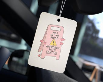 Funny Car Air Freshener: Quirky Decor - New Car, Pine, Black Ice Scents