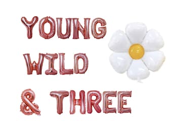 Young Wild & Drei Banner 16 Zoll | Retro Groovy Thema 3. Geburtstag Party Hippie Geburtstag Thema Party
