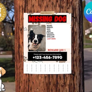 PRINTABLE Missing Dog Template | Flyer | Missing Cat Template | Poster | Editable Flyer | Canva Template | Flyer Template | Lost Pet
