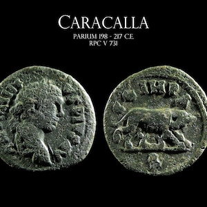May include: Two antique bronze coins. One coin features a profile of a man's head, and the other coin depicts a walking animal. The text "CARACALLA" and other details are at the top.